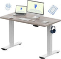 FLEXISPOT EN1 One-Piece Standing Desk with 1-Inch Thick Seamless Desktop 48x24 Electric Height Adjustable Desk for Home Office Multi-Monitor Setups &amp Easy Assembly Gray Wood