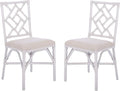 Safavieh Home Bhumi Coastal White Rattan Accent Chair with Cushion (Set of 2)