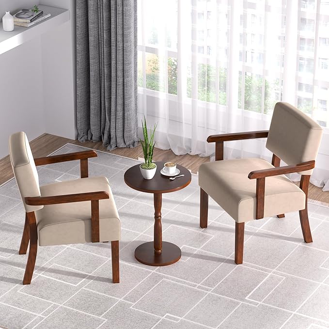 Accent Chair Cat-Scratch Velvet Living Room Chairs Oversize with Soft Seat and Armrests for Dinning Room Bedroom Reading Room Waiting Room