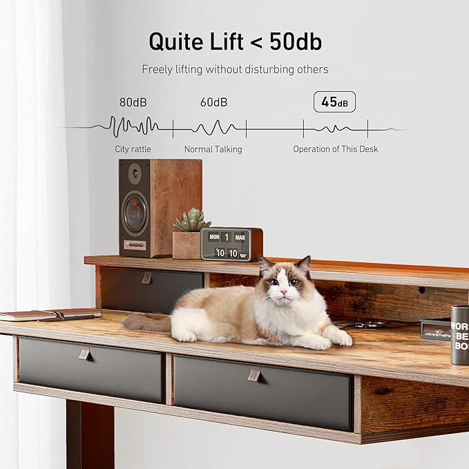 FEZIBO 48'' x 24'' Electric Standing Desk Adjustable Height with 4 Drawers Home Office Stand Up Table with 4 Height-Adjustable Feets &amp 2 HooksRustic Brown Top