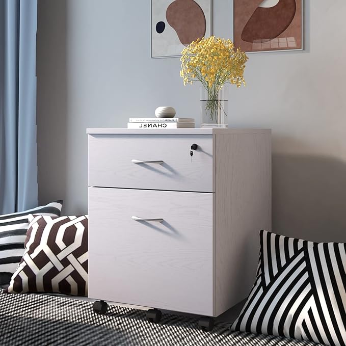 GLigeT Filing Cabinet 2-Drawer Filing Cabinet Office Drawers w/Keys Compact Slim Portable File Cabinet Pre-Built Office Storage Cabinet for A4/Letter File Storage Cabinets