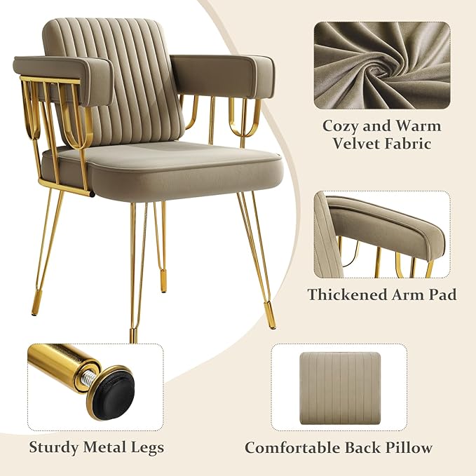 Makeup Vanity Chair with Gold Back No Wheels Accent Velvet Desk Chairs with Extra Lumbar Pillow for Girls Bedroom Dressing Room Nail Salon Living Room Greyish Brown