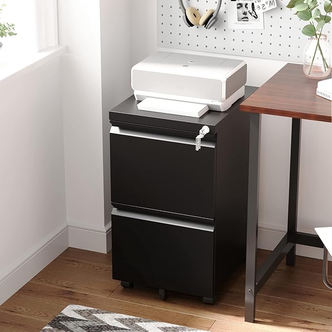 Letaya 2 Drawer Mobile File Cabinet with Lock Under Desk Metal Rolling Filing Cabinets for Home Office Organizer Letters/Legal/A4 (Black- Requires Installation)