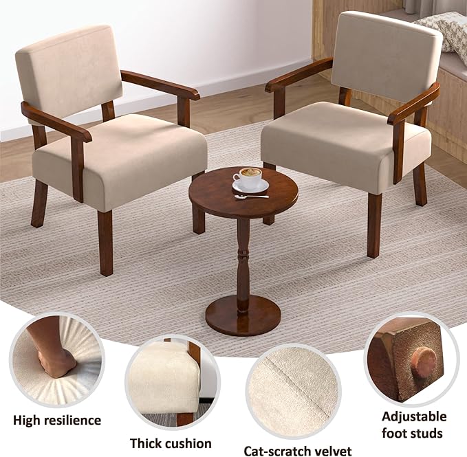 Accent Chair Cat-Scratch Velvet Living Room Chairs Oversize with Soft Seat and Armrests for Dinning Room Bedroom Reading Room Waiting Room