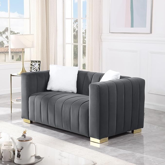63'' Modern Premium Velvet 2-Seater Couch/Loveseat Sofa with Metal Base Legs and 2 Pillows for Living Room/Bedroom