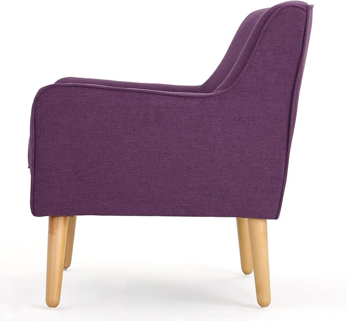 Mid-Century Modern Arm Chair for Living Room Decor - Indoor Comfort Retro Style