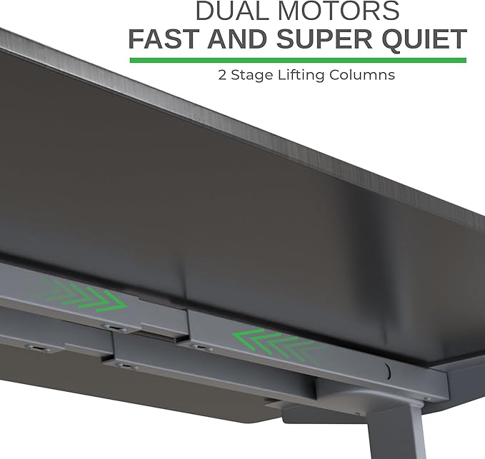 RISE UP dual motor electric standing desk 48x30 black desktop premium ergonomic adjustable height sit stand up home office computer desk table motorized powered modern furniture small standup table