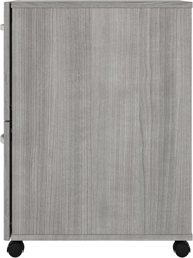 Bush Business Furniture Studio C 2 Drawer Mobile File Cabinet in Platinum Gray - Assembled Rolling Document Storage for Home or Professional Office