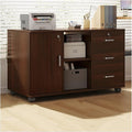File Cabinet Office File Cabinet Under Desk Storage Cabinet Three Drawers Two Compartments One Door Storage Cabinet Wooden Locking Plant Sideboards Archive Cabinet(Color:Bruin)