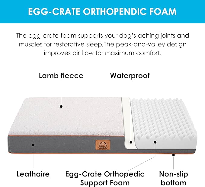 Sunheir Extra Large Dog Bed - Orthopedic Bed with Removable Waterproof Cover Machine Washable Egg Crate Foam XL(41X27X3) Light Grey