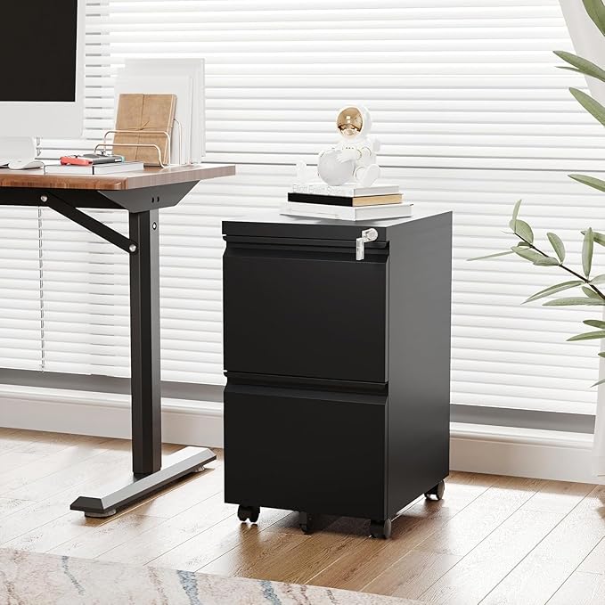 Letaya 2 Drawer Mobile File Cabinet with Lock Under Desk Metal Rolling Filing Cabinets for Home Office Organizer Letters/Legal/A4 (Black- Requires Installation)