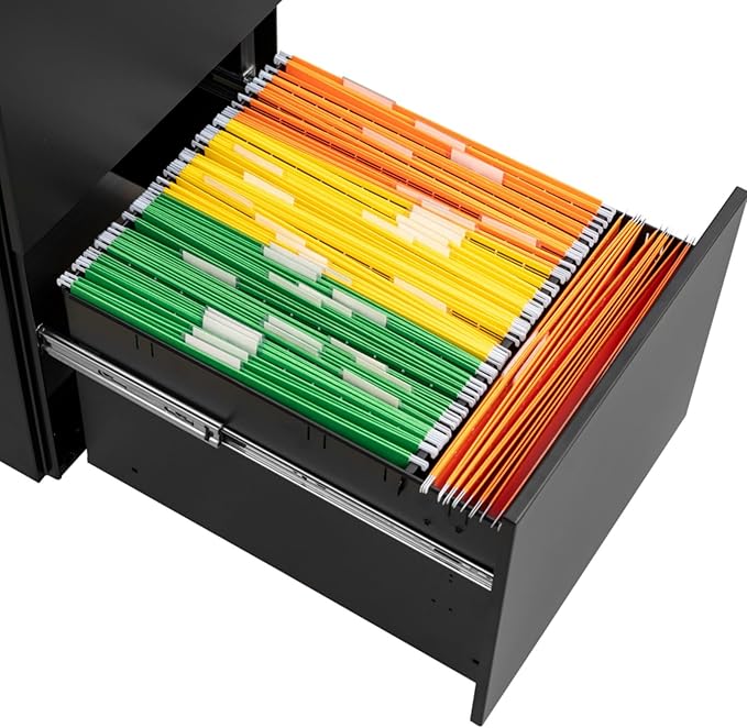 Mobile File Cabinet with Lock 2 Drawer Steel Filing Cabinet for Legal/Letter/A4/F4 Files Fully Assembled Except Wheels Cold-Rolled Metal Full Extension Drawers (Black)