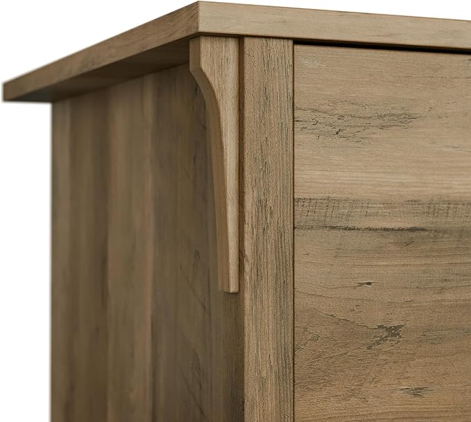 Bush Home Salinas 2 Drawer Lateral File Cabinet in Reclaimed Pine Home Office Storage Solution Organizer with Drawers for Workspace Filing Unit