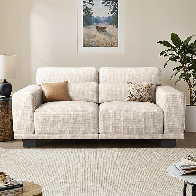 Pipishell Loveseat Couches for Living Room 65 Modern Couch with Deep Seats and Wide Armrests Comfortable Love Seat Sofa with Sturdy Frame Easy to Clean with Removable Covers White