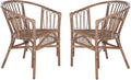 Safavieh Home Adriana Coastal Grey White Wash Rattan (Set of 2) Accent Chair (ACH6505D-SET2)