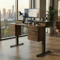 ErGear Electric Standing Desk with 6 Drawers 55 Inch Height Adjustable Stand Up Desk with Storage Computer Workstation with Monitor Stand for Home Office Black Walnut