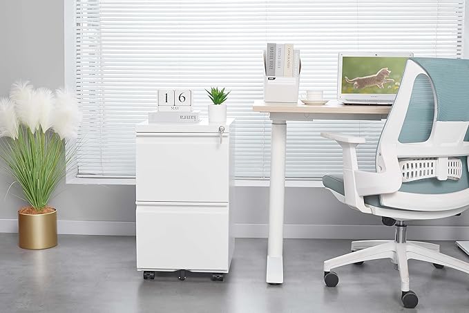 2 Drawer Mobile File Cabinet Office Storage Cabinet with Lock Wheels Metal Vertical File Cabinet for Under The Desk Home Office for Letters/Legal/A4 (White)