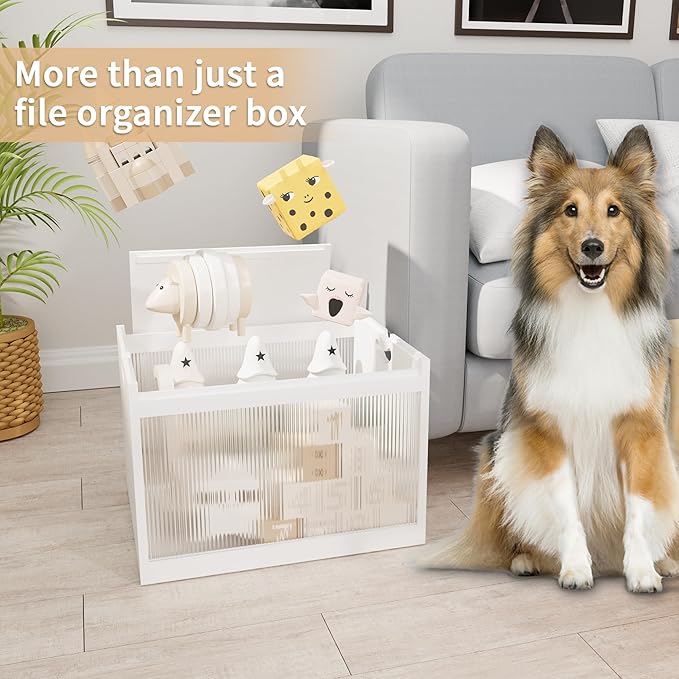 White Bamboo Acrylic File Box with Hanging Folders Letter/Legal Size Dustproof Home Office File Organizer