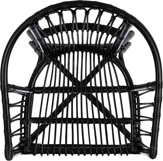 Safavieh Home Adriana Coastal Black Rattan (Set of 2) Accent Chair (ACH6505A-SET2)