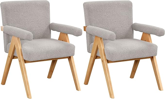 Modern Arm Chair Set of 2Chair Set with Solid Wood Frame Altay Velvet Upholstered Accent Chairs with arm Pads for Living Room Bedroom Apartment Gray