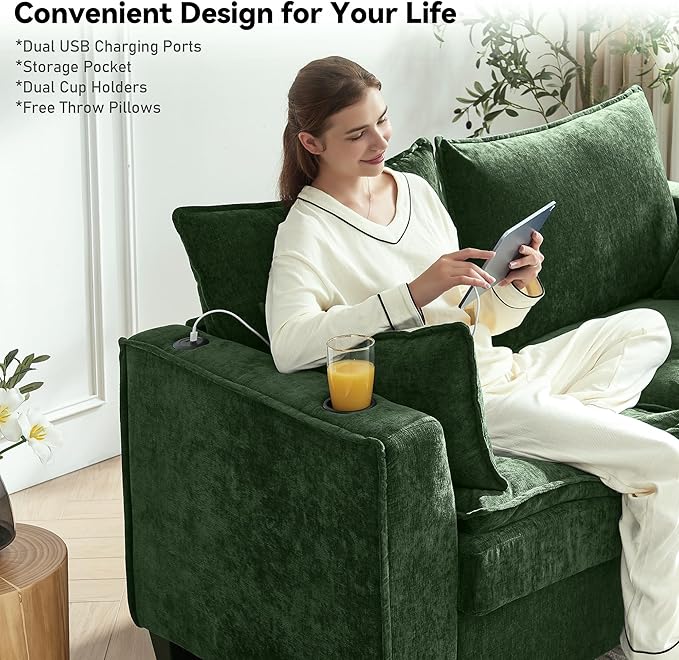 Brelice Pull Out Sofa Bed Sleeper Sofa Couch 2-in-1 Convertible Chenille Loveseat with USB Charging Ports and Memory Foam Mattress Full Size Pullout Bed for Living Room Apartment or Office