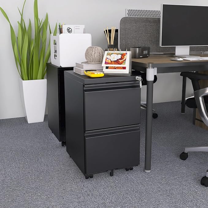 Hassyee Office Storage Cabinet 2 Drawers File Cabinet with Lock Metal Vertical File Cabient with Wheels Mobile File Cabinet for Office Home Legal/Letter/a4 Size (2 Drawer Black)