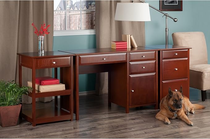 Winsome Delta Home Office Walnut