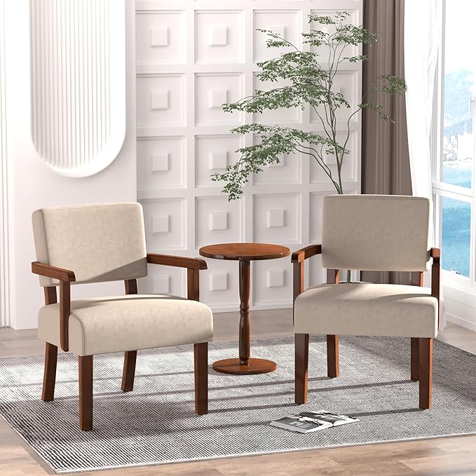 Accent Chair Cat-Scratch Velvet Living Room Chairs Oversize with Soft Seat and Armrests for Dinning Room Bedroom Reading Room Waiting Room