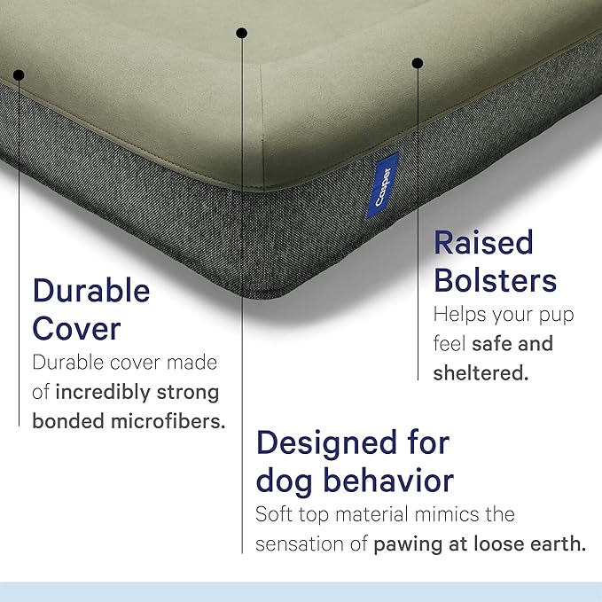 Casper Dog Bed Plush Memory Foam Medium Eucalyptus