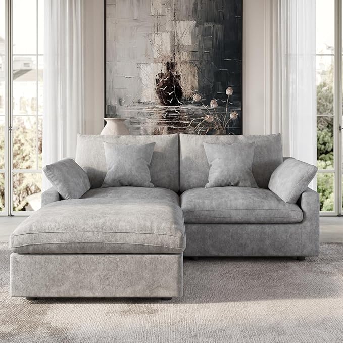 Cloud Modular Sectional SofaDown Filled Comfort Sofa Couch for Living Room2 Seater+ 1Ottoman Couches for Livingroon ApartmentCover Washable and Replaceable