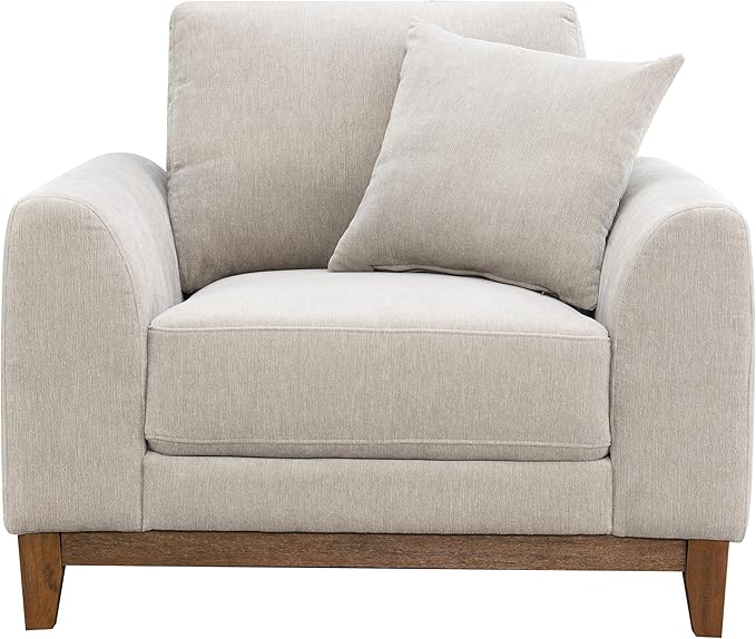 Furniture of America Naria Modern Chenille 40-inch Accent Chair with Soft Track Arm Slightly Tapered Leg for Living Room Light Grey
