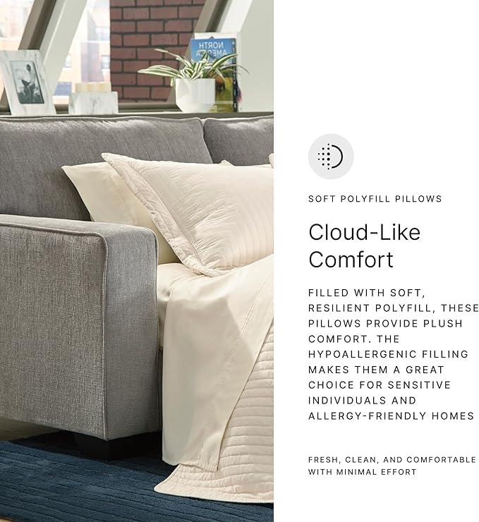 Signature Design by Ashley Altari Modern Queen Sofa Sleeper with 2 Accent Pillows Light Gray