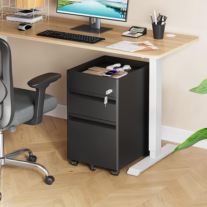 DEVAISE Metal File Cabinet with Lock 2 Drawer Under Desk Filing Cabinet with Wheels Locking File Cabinet for Letter/Legal/A4 Size Black