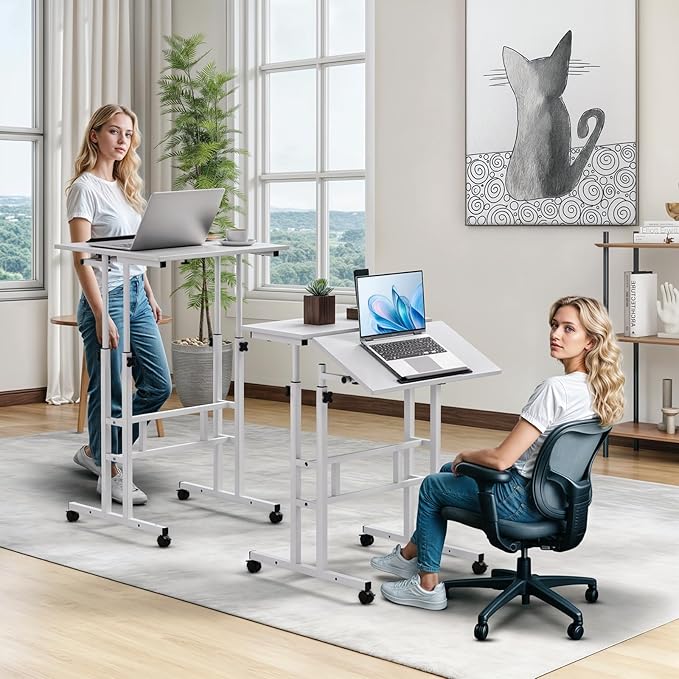 Magshion Standing Desk with Wheels Height Adjustment from 28 to 46 Sit to Stand Up Mobile Computer Desk Rolling Laptop Cart for Home Office Walking Pad Writing and Gaming White