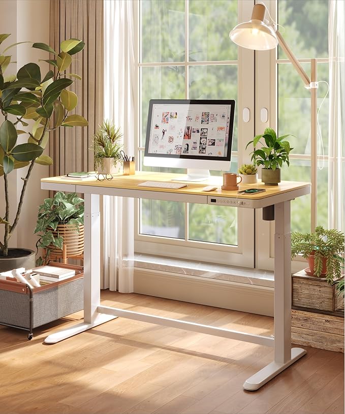 Standing Desk with Drawer Electric Height Adjustable Home Office Desk with Storage &amp USB Ports 48 inch Bamboo Texture Tabletop/White Frame