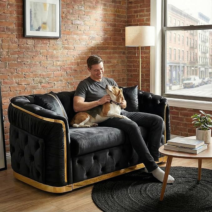 62.6 Mid Century Modern Loveseat Chesterfield Sofa Couch Black and Gold Couch Velvet Button Tufted Luxury Couches for Living Room with Golden Decor &amp 2 Pillows Black | StainlessSteel Decor Ele