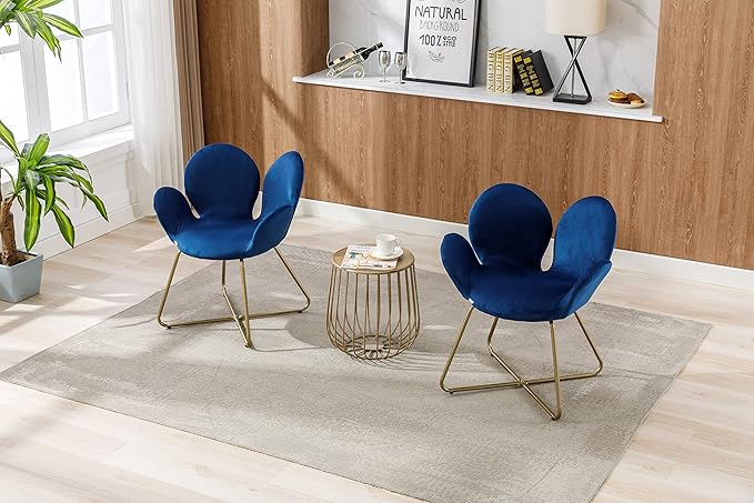 Modern Velvet Accent Chair Comfy Cute Upholstered Vanity Desk Chair w/Metal Legs Soft CushionArmchair for Living Room 2PC/Set