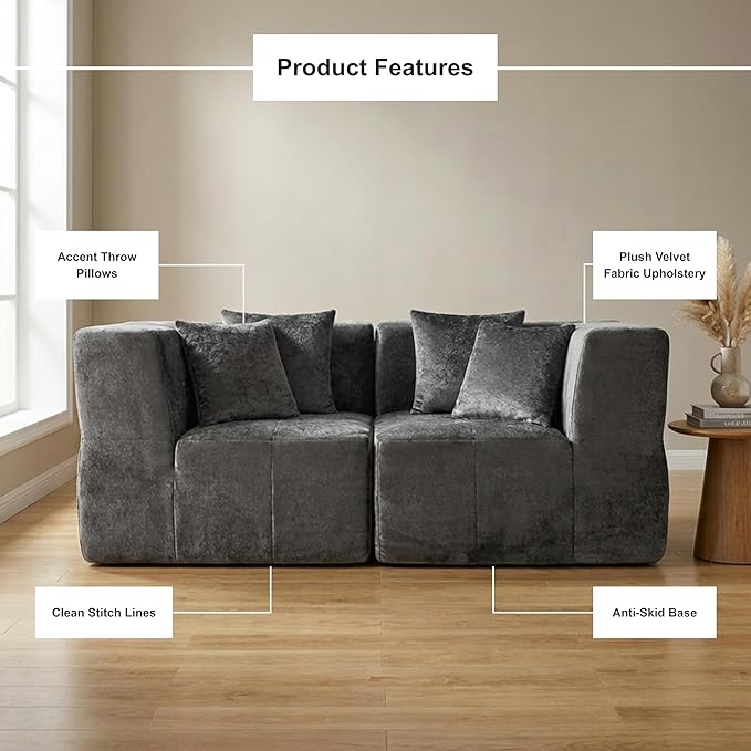 · REDEARTH · Love Seat Modular Velvet Sectional Sofa No-Assembly Compressed Couch in a Box Firm Support Boneless Modular System in Plush Velvet for Living Room (2-Seater) Dark Gray