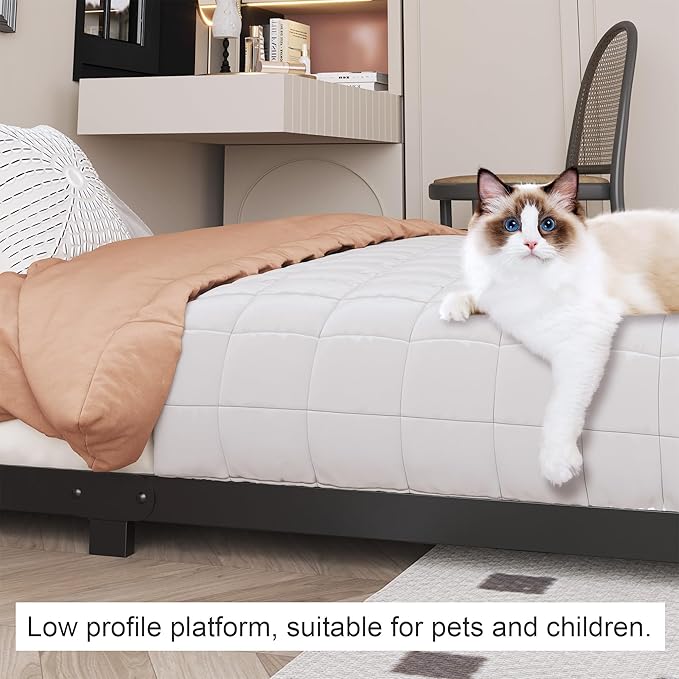3 inch Low Bed Frame Queen Size with Rounded Corner Heavy Duty Metal Easy Assembly Noise Free Black