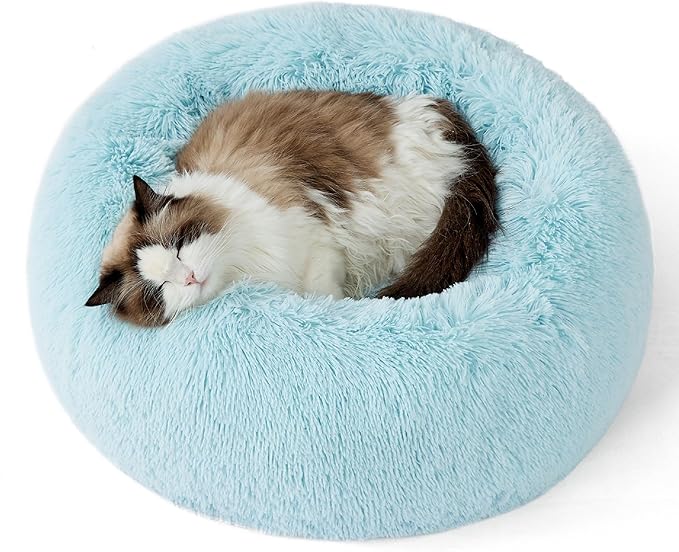 Bedsure Calming Cat Beds for Indoor Cats - Small Cat Bed Washable 20 inches Anti-Slip Round Fluffy Plush Faux Fur Pet Bed Fits up to 15 lbs Pets Aqua Blue