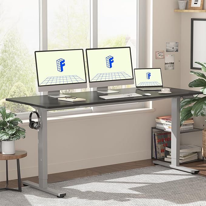 FLEXISPOT EN1 One-Piece Adjustable 60 x 24 Inches Stand Up Desk Workstation Electric Standing Desk with Seamless Desktop (Silver Frame + 60 inches Black Top 2 Packages)