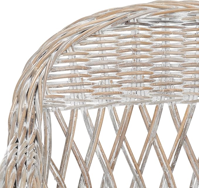 Safavieh Home Collection Inez Natural Wicker Club Chair