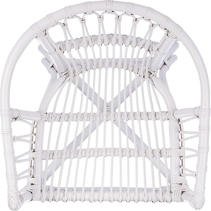 Safavieh Home Adriana Coastal White Rattan (Set of 2) Accent Chair (ACH6505B-SET2)