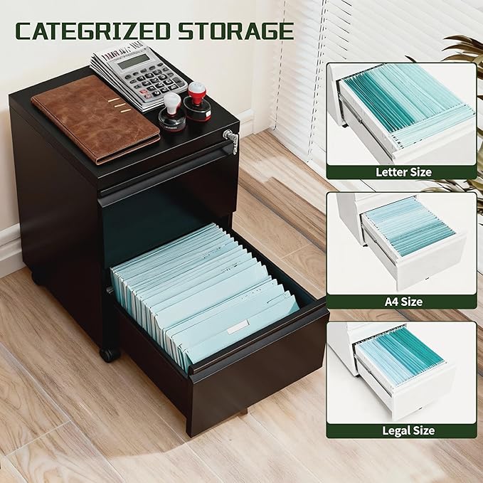 2 Drawer File Cabinet with LockRolling Filing Cabinet with Wheels for Home OfficeUnder Desk Metal File CabinetOffice Storage OrganizerBlack