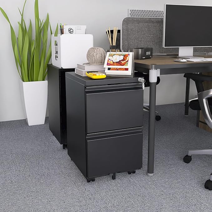 2 Drawer File Cabinet with Wheels Locking Office File Cabinet Mobile Filing Cabinets for Home Office Metal Vertical File Cabients for A4 Letter Legal Size Documents (2 Drawer Black)