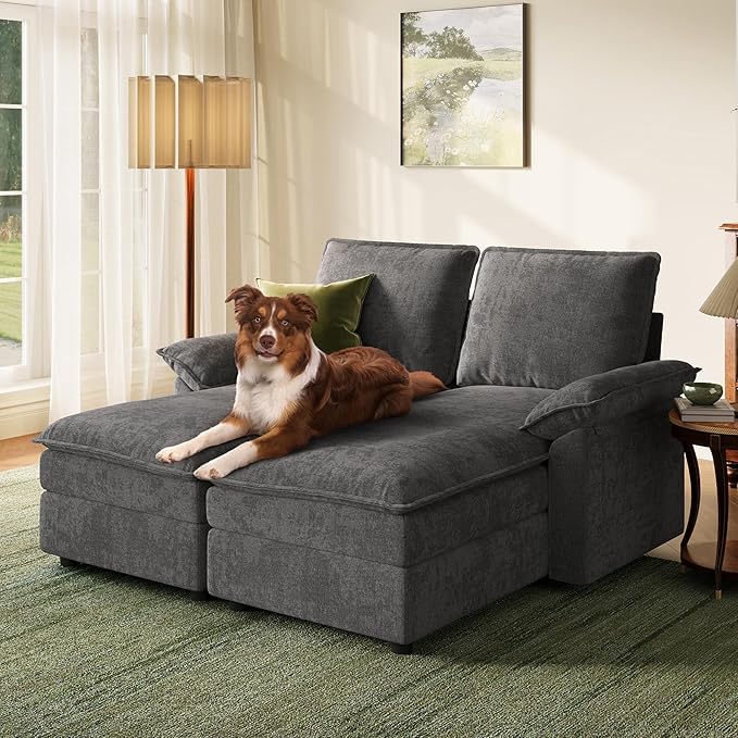LINSY HOME Modular Sofa Chaise Lounge 65 Cloud Sofa Bed Lounge with Armrests Chenille Sleeper Sofa for Living Room Apartment Home Theater Grey