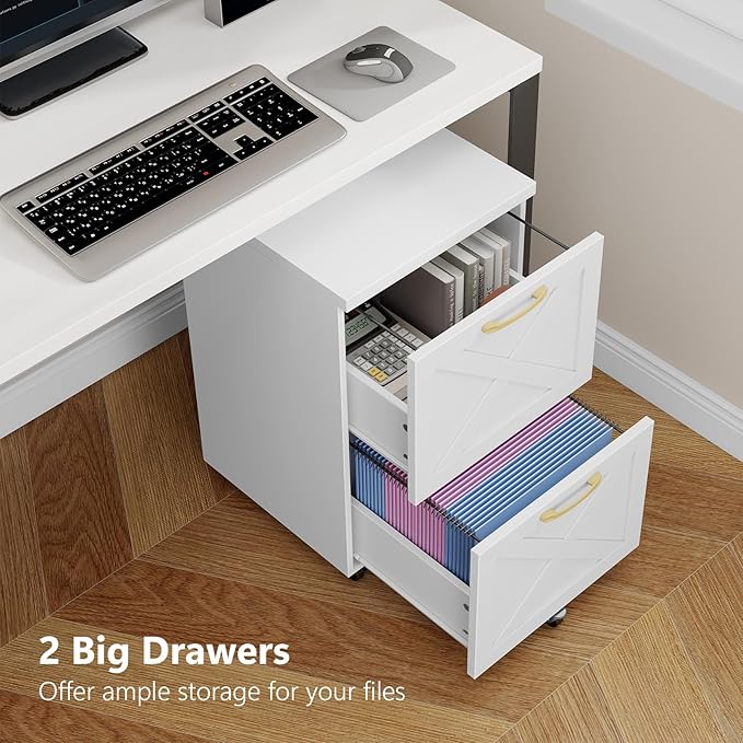 Vabches Farmhouse File Cabinet with 2 Drawers Modern White