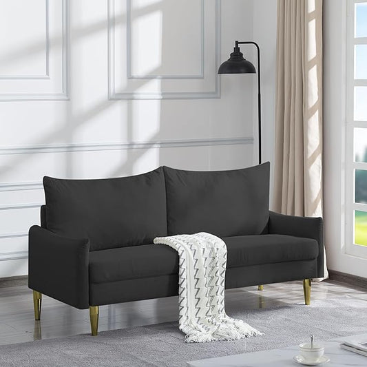 66.9“ Loveseat SofaModern Small Couches for Small SpacesSolid Wood LegsMini CouchMini loveseat with 2 PillowsSuitable for Living Room Bedroom Apartment (Dark Grey)