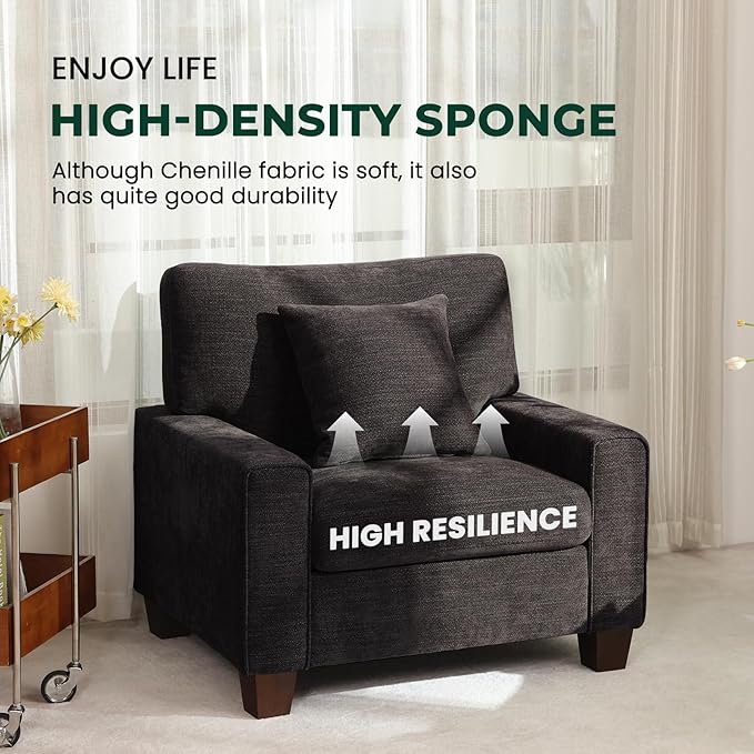 DOPEDIO Fabric Single Sofa Living Room Accent ChairDetachable Sofa Cover Comes with Decorative Pillows Spring Cushion and Solid Wood Frame Easy to Install (40inch Dark Grey)