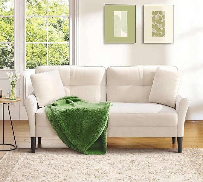 Loveseat Sofa 69 Love Seat Couches Comfy Velvet Small Sofa Couch for Bedroom with 2 Pillows Tool-Free Setup Sofas &amp Couches 700lb Load Sofas for Living Room Mini Couch for Bedroom White Cou